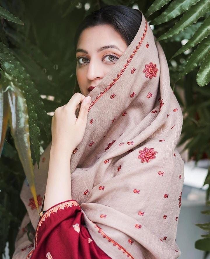 Aisling Dhanak Embroidered 3 Piece | AL111 - Trendy Casual Outfits - Laiba Rauf